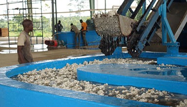 TSR Natural Rubber Processing Machinery